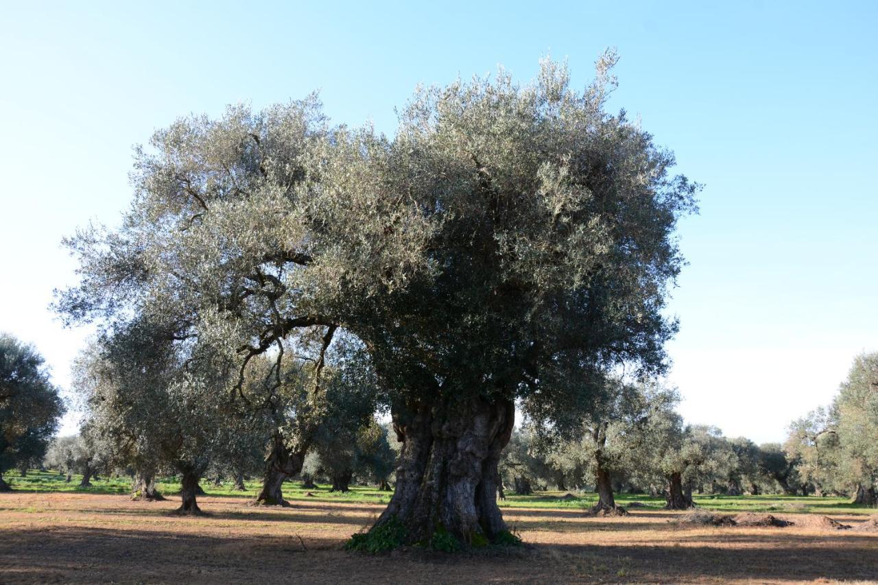 Masseria Rifisa Agriresort Caprarica di Lecce Exterior foto